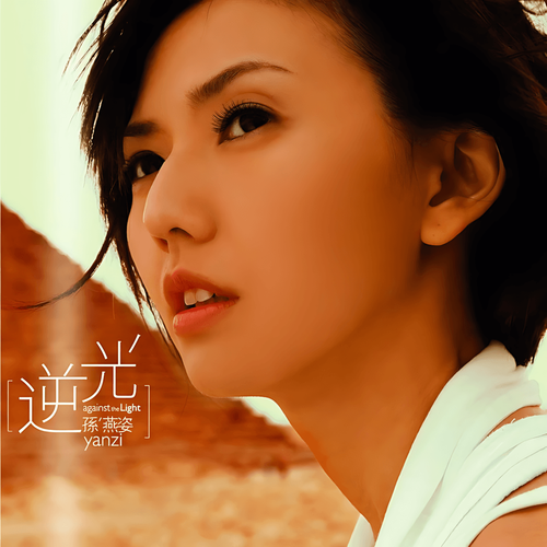 我怀念的cover