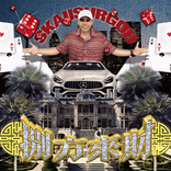 大展鸿图 cover
