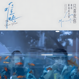 像晴天像雨天 cover