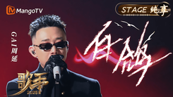 白鸽 cover